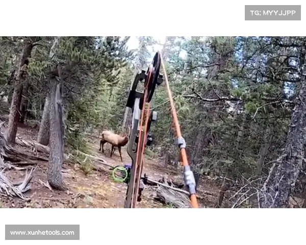 提升狩猎效率的五个猎人幻化弓技巧你必须知道 提升狩猎效率的五个猎人幻化弓技巧你必须知道