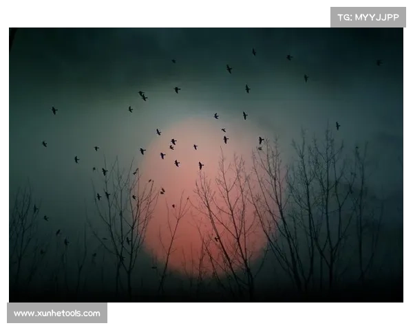 收拾心情步入朱雀天境探索心灵与境界的完美指南