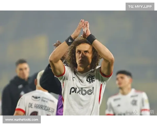 大卫路易斯的五大核心位置角色及新职称设定